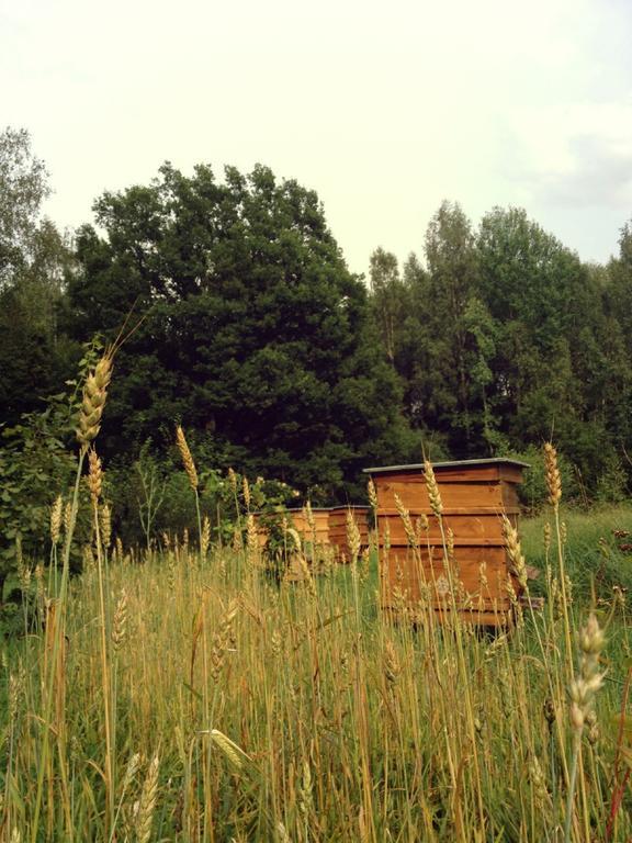Glempings Klaukas Hotell Sigulda Eksteriør bilde